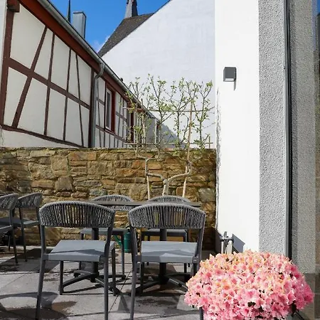 Boutiquehotel Burg Adenbach & Alter Weinbau Otel